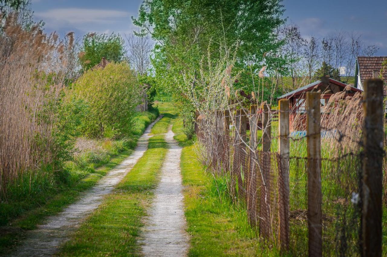 הוילה Palić Etno Salas - Etno Ranch - Seosko Turisticko Domacinstvo מראה חיצוני תמונה