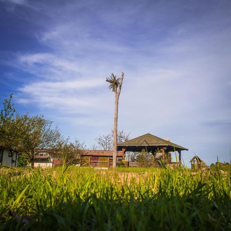 הוילה Palić Etno Salas - Etno Ranch - Seosko Turisticko Domacinstvo מראה חיצוני תמונה