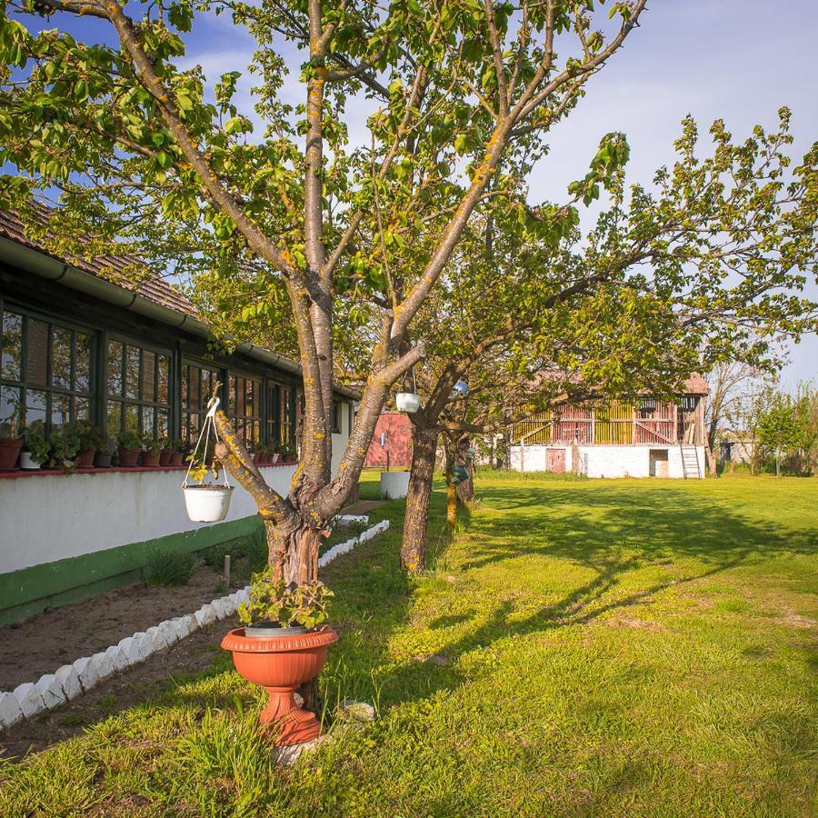 הוילה Palić Etno Salas - Etno Ranch - Seosko Turisticko Domacinstvo מראה חיצוני תמונה
