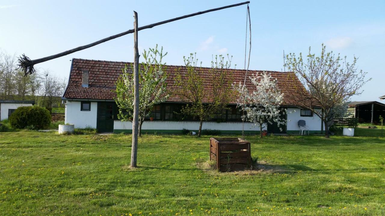 הוילה Palić Etno Salas - Etno Ranch - Seosko Turisticko Domacinstvo מראה חיצוני תמונה